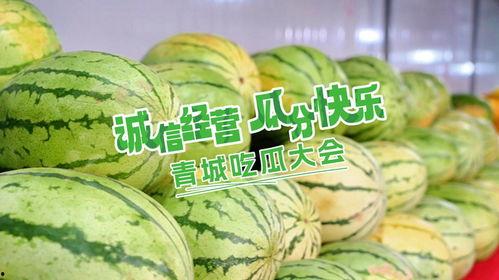 被迫营业吃瓜,揭秘吃瓜群众的狂欢盛宴